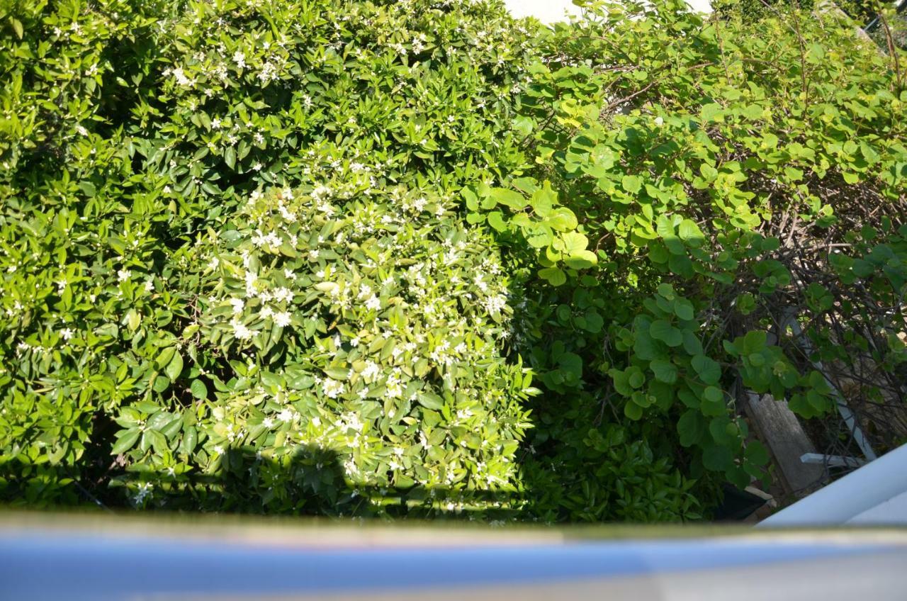 Apartment Jure トロギール エクステリア 写真